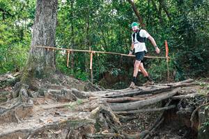 BIB: 
                            <button type="button" onclick="openModal(27803855)" class="btn btn-primary btn-sm float-right btn-popup" data-toggle="modal" data-target=".modal-high-quality">
                        <i class="fas fa-shopping-cart"></i> Add to Cart
                    </button>
                                            <button type="button" onclick="isThisMe(27803855, true)" class="btn btn-success btn-sm float-right btn-popup btn-isme hidden" data-toggle="tooltip" data-placement="bottom" title="นี่คือรูปของคุณใช่ไหม คลิกที่นี่เพื่อเอาเข้าอัลบั้ม">
                        <i class="fas fa-plus"></i> Add to album
                    </button>
                    <button type="button" onclick="isThisMe(27803855, false)" class="btn btn-warning btn-sm float-right btn-popup btn-isnotme hidden">
                        <i class="fas fa-ban"></i> Remove from album
                    </button>